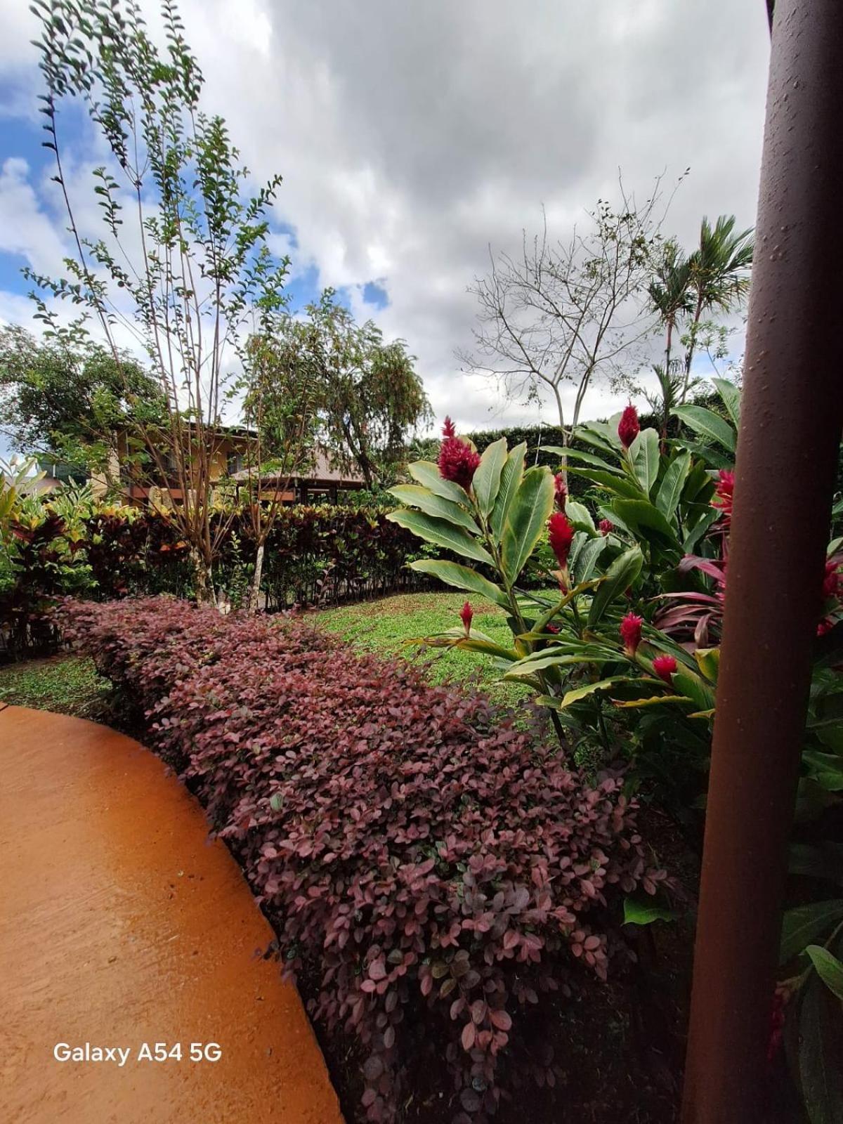 Iris Arenal Hotel La Fortuna Eksteriør billede